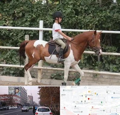 آموزش سوارکاری در کارگر شمالی 