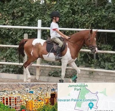 آموزش سوارکاری در نیاوران 