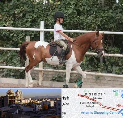 آموزش سوارکاری در فرمانیه 