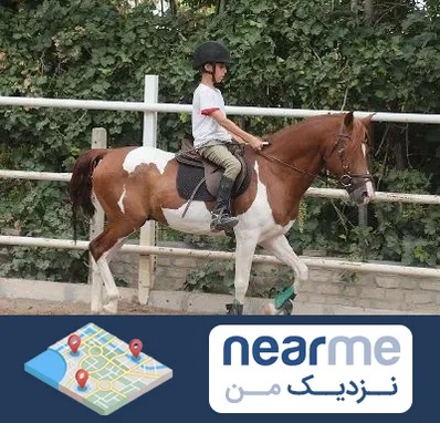 آموزش سوارکاری در نزدیک من