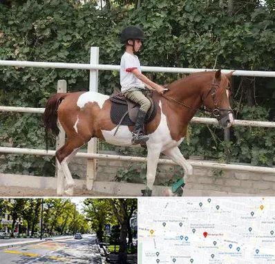 آموزش سوارکاری در میرداماد 