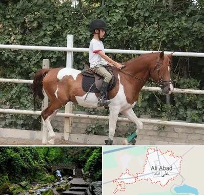 آموزش سوارکاری در علی‌ آباد کتول