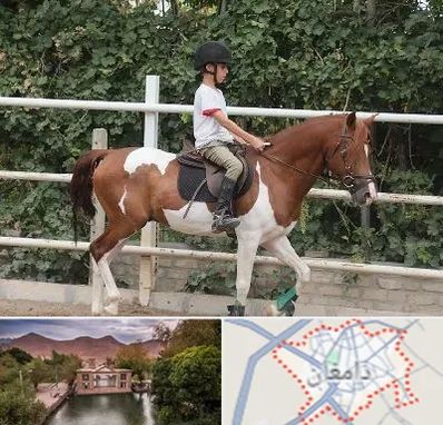 آموزش سوارکاری در دامغان