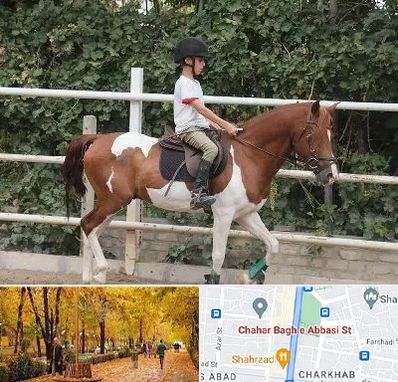 آموزش سوارکاری در چهارباغ اصفهان 