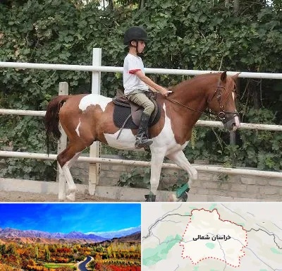 آموزش سوارکاری در خراسان شمالی