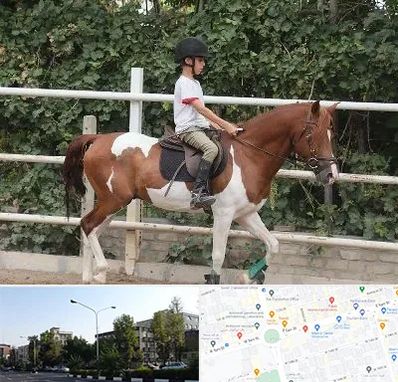 آموزش سوارکاری در میدان کاج 