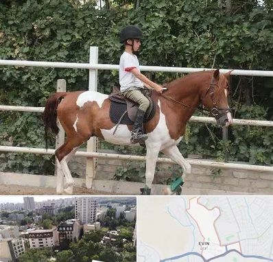 آموزش سوارکاری در اوین