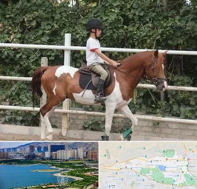 آموزش سوارکاری در منطقه 22 تهران 