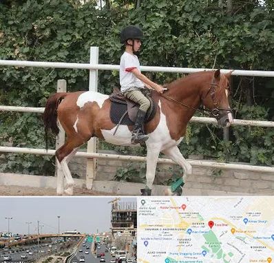 آموزش سوارکاری در بلوار توس مشهد 