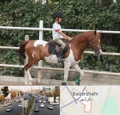 آموزش سوارکاری در باقرشهر