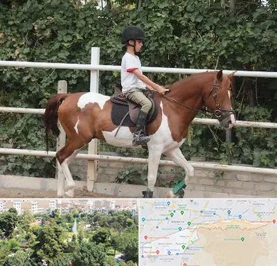 آموزش سوارکاری در منطقه 13 تهران 