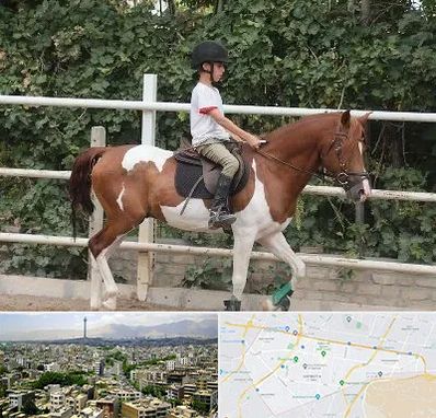 آموزش سوارکاری در منطقه 8 تهران 