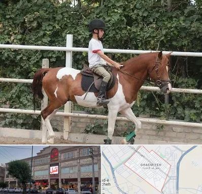 آموزش سوارکاری در قائمیه اسلامشهر 