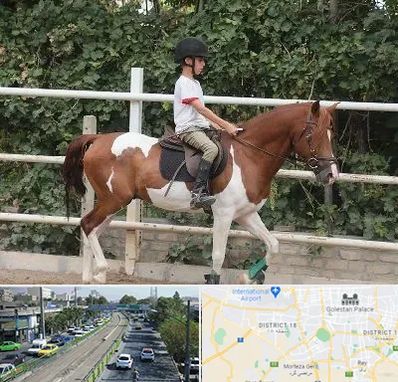 آموزش سوارکاری در جنوب تهران 