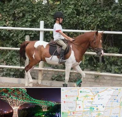 آموزش سوارکاری در منطقه 3 تهران 