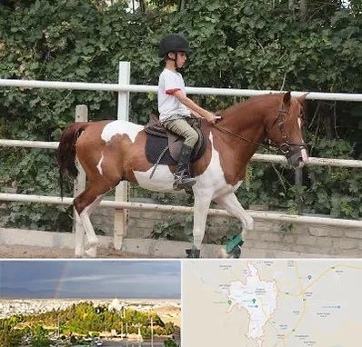 آموزش سوارکاری در تربت حیدریه