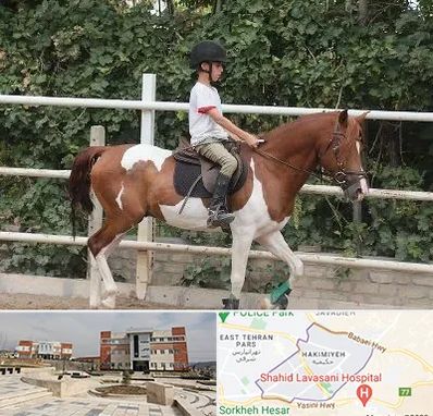 آموزش سوارکاری در حکیمیه 