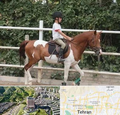 آموزش سوارکاری در شمال تهران 