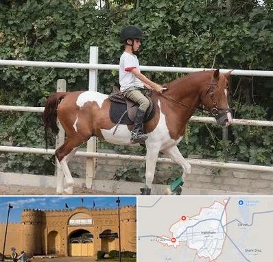 آموزش سوارکاری در ایرانشهر