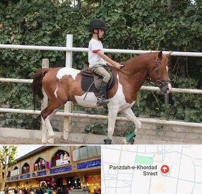 آموزش سوارکاری در 15 خرداد