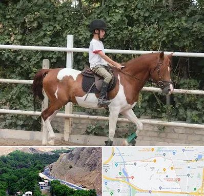 آموزش سوارکاری در کن 