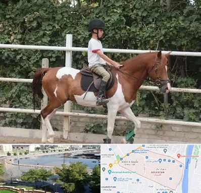 آموزش سوارکاری در گلستان اهواز 