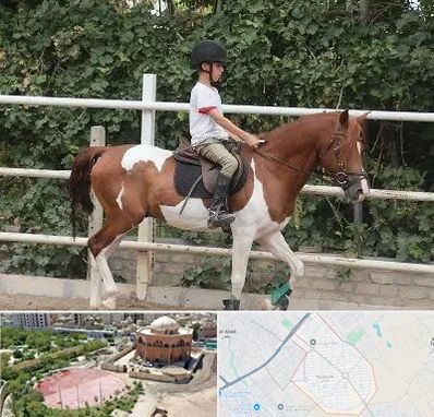 آموزش سوارکاری در گلستان اسلامشهر 