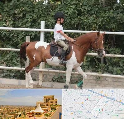 آموزش سوارکاری در هاشمیه مشهد 