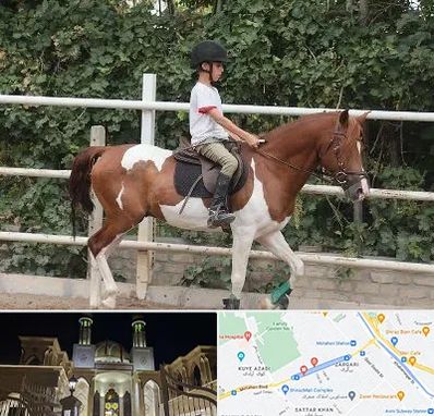 آموزش سوارکاری در زرگری شیراز 