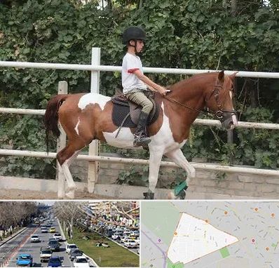 آموزش سوارکاری در احمدآباد مشهد 