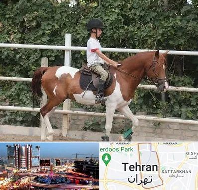 آموزش سوارکاری در صادقیه 