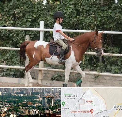 آموزش سوارکاری در عظیمیه کرج 