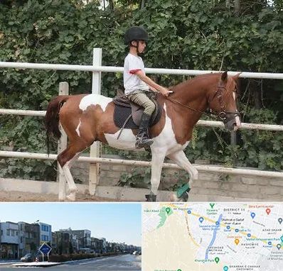 آموزش سوارکاری در شریعتی مشهد 