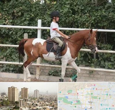 آموزش سوارکاری در منطقه 5 تهران 