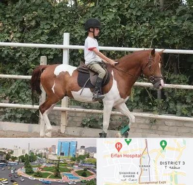 آموزش سوارکاری در ونک 