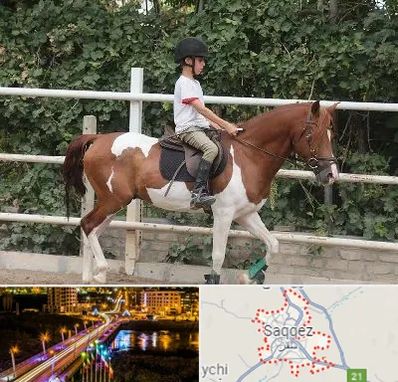 آموزش سوارکاری در سقز