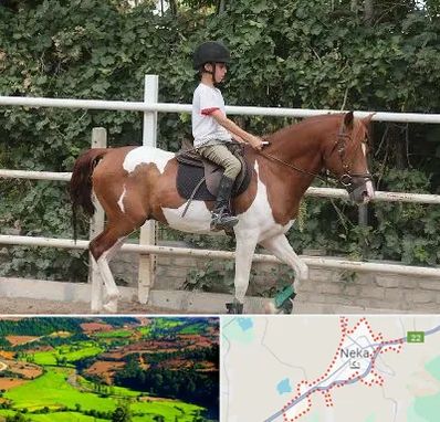 آموزش سوارکاری در نکا