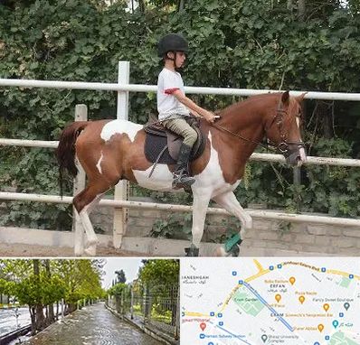 آموزش سوارکاری در خیابان ارم شیراز 