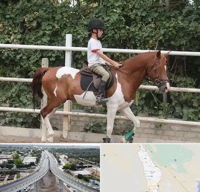 آموزش سوارکاری در اندیمشک