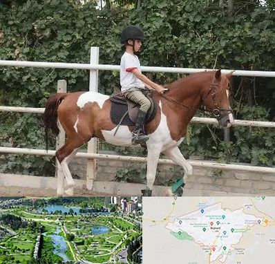 آموزش سوارکاری در بجنورد