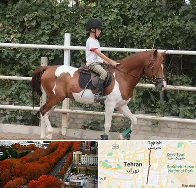 آموزش سوارکاری در ولیعصر 