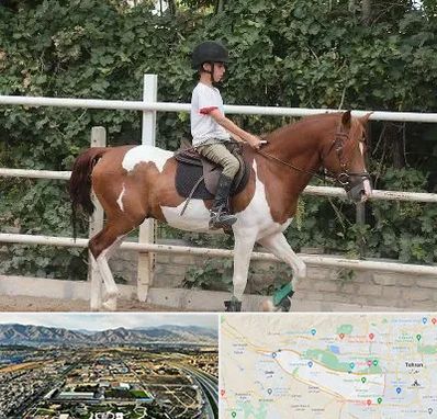 آموزش سوارکاری در منطقه 21 تهران 