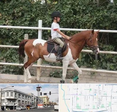 آموزش سوارکاری در 17شهریور