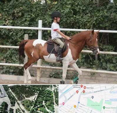 آموزش سوارکاری در سالاریه قم 