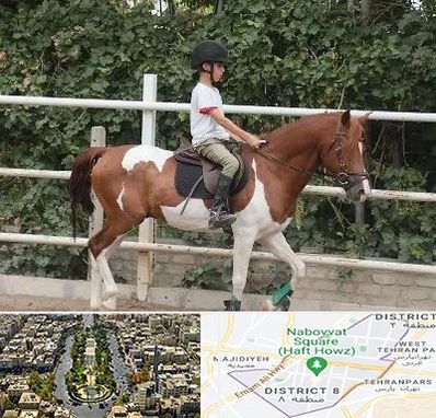 آموزش سوارکاری در نارمک 