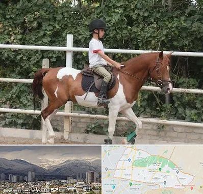 آموزش سوارکاری در منطقه 4 تهران 