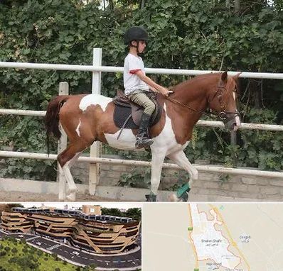 آموزش سوارکاری در شاهین شهر