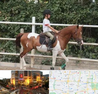 آموزش سوارکاری در جنت آباد تهران 