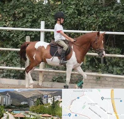 آموزش سوارکاری در شهر زیبا 