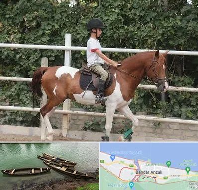 آموزش سوارکاری در بندر انزلی